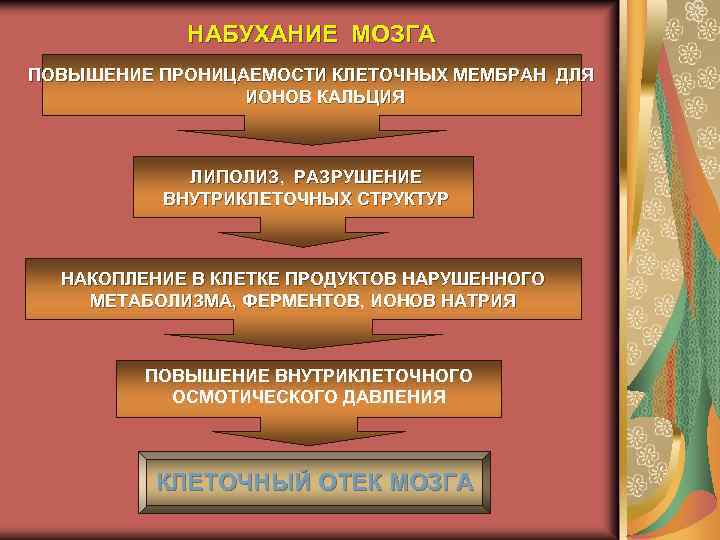 НАБУХАНИЕ МОЗГА ПОВЫШЕНИЕ ПРОНИЦАЕМОСТИ КЛЕТОЧНЫХ МЕМБРАН ДЛЯ ИОНОВ КАЛЬЦИЯ ЛИПОЛИЗ, РАЗРУШЕНИЕ ВНУТРИКЛЕТОЧНЫХ СТРУКТУР НАКОПЛЕНИЕ