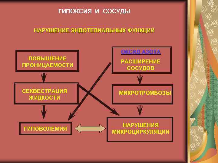 ГИПОКСИЯ И СОСУДЫ НАРУШЕНИЕ ЭНДОТЕЛИАЛЬНЫХ ФУНКЦИЙ ОКСИД АЗОТА ПОВЫШЕНИЕ ПРОНИЦАЕМОСТИ СЕКВЕСТРАЦИЯ ЖИДКОСТИ ГИПОВОЛЕМИЯ РАСШИРЕНИЕ