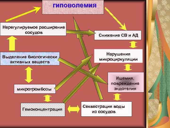 гиповолемия Нерегулируемое расширение сосудов Выделение биологически активных веществ микротромбозы Гемоконцентрация Снижение СВ и АД