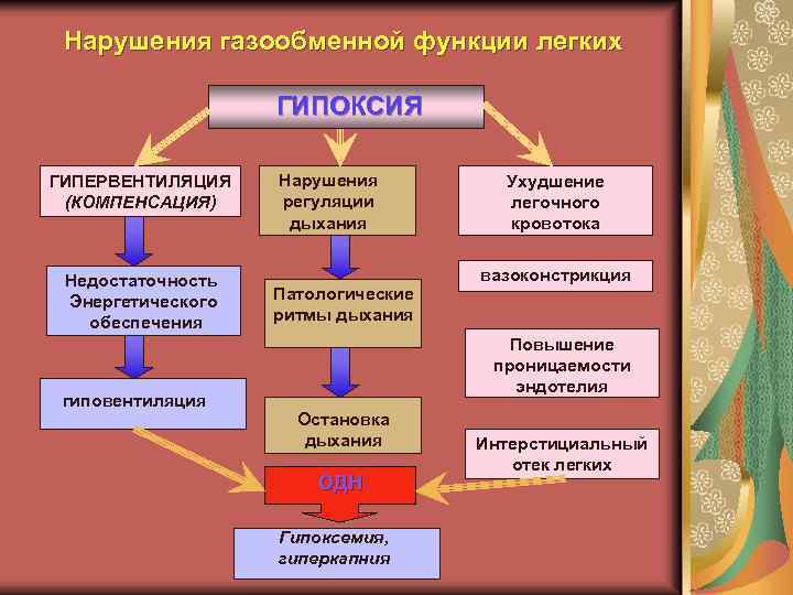 Нарушения газообменной функции легких ГИПОКСИЯ ГИПЕРВЕНТИЛЯЦИЯ (КОМПЕНСАЦИЯ) Недостаточность Энергетического обеспечения гиповентиляция Нарушения регуляции дыхания