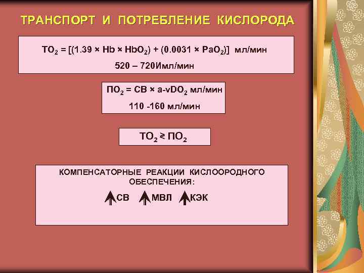 ТРАНСПОРТ И ПОТРЕБЛЕНИЕ КИСЛОРОДА TO 2 = [(1. 39 × Hb. O 2) +