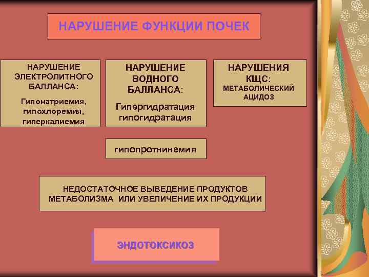 НАРУШЕНИЕ ФУНКЦИИ ПОЧЕК НАРУШЕНИЕ ЭЛЕКТРОЛИТНОГО БАЛЛАНСА: НАРУШЕНИЕ ВОДНОГО БАЛЛАНСА: Гипонатриемия, гипохлоремия, гиперкалиемия Гипергидратация гипогидратация