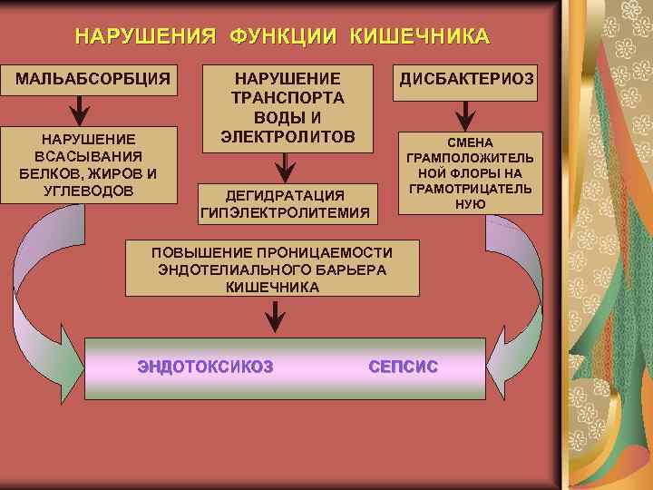 НАРУШЕНИЯ ФУНКЦИИ КИШЕЧНИКА МАЛЬАБСОРБЦИЯ НАРУШЕНИЕ ВСАСЫВАНИЯ БЕЛКОВ, ЖИРОВ И УГЛЕВОДОВ НАРУШЕНИЕ ТРАНСПОРТА ВОДЫ И