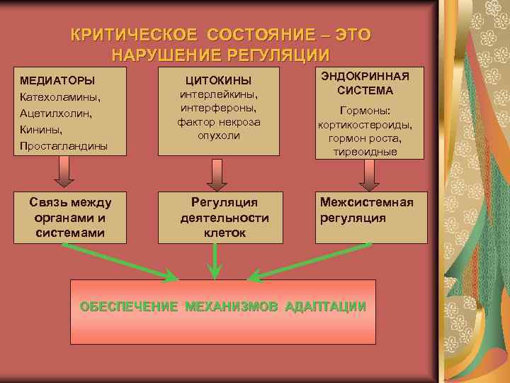 КРИТИЧЕСКОЕ СОСТОЯНИЕ – ЭТО НАРУШЕНИЕ РЕГУЛЯЦИИ МЕДИАТОРЫ Катехоламины, Ацетилхолин, Кинины, Простагландины Связь между органами