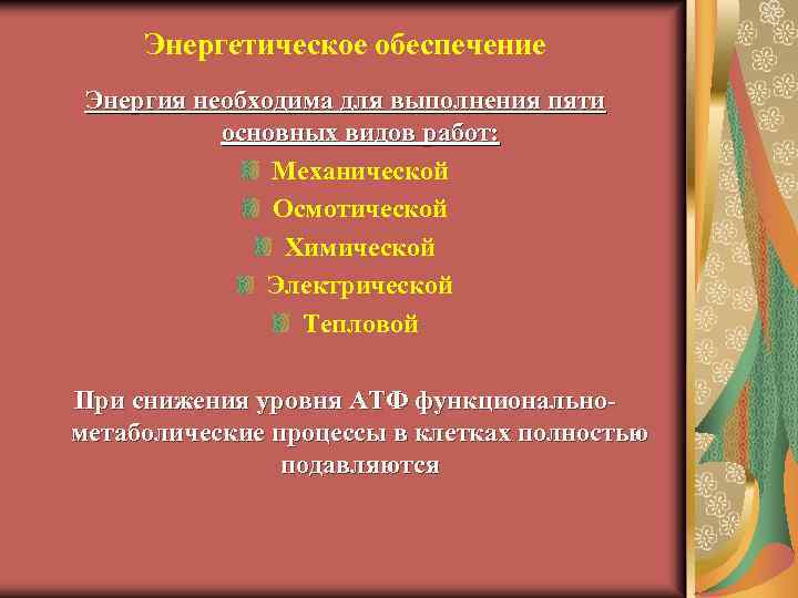 Энергетическое обеспечение Энергия необходима для выполнения пяти основных видов работ: Механической Осмотической Химической Электрической