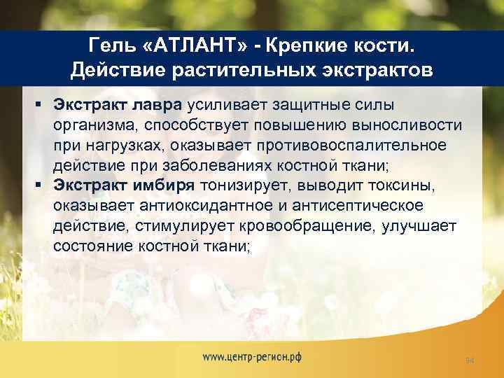 Гель «АТЛАНТ» - Крепкие кости. Действие растительных экстрактов § Экстракт лавра усиливает защитные силы