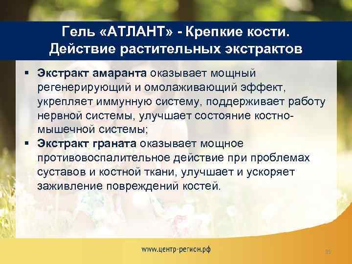 Гель «АТЛАНТ» - Крепкие кости. Действие растительных экстрактов § Экстракт амаранта оказывает мощный регенерирующий