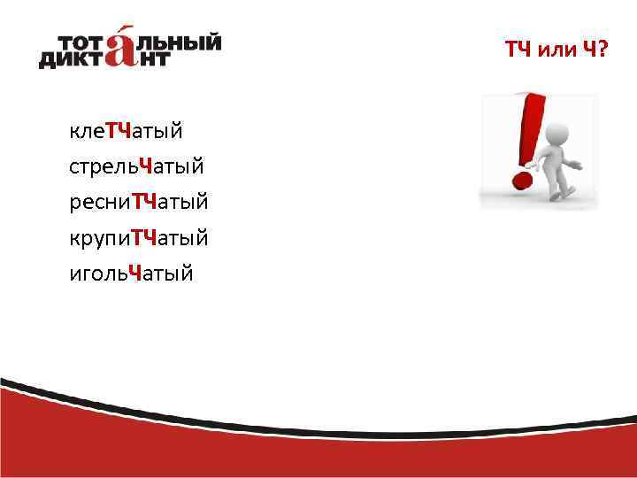 ТЧ или Ч? кле. ТЧатый стрель. Чатый ресни. ТЧатый крупи. ТЧатый иголь. Чатый 