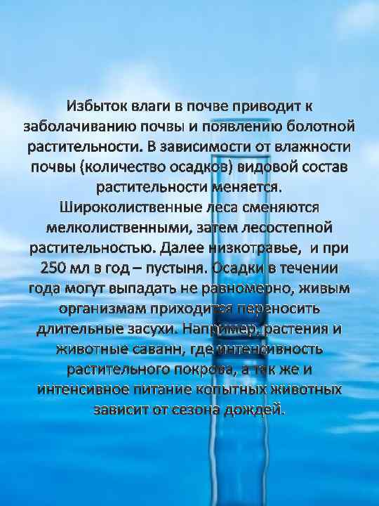 Избыток влаги в почве приводит к заболачиванию почвы и появлению болотной растительности. В зависимости