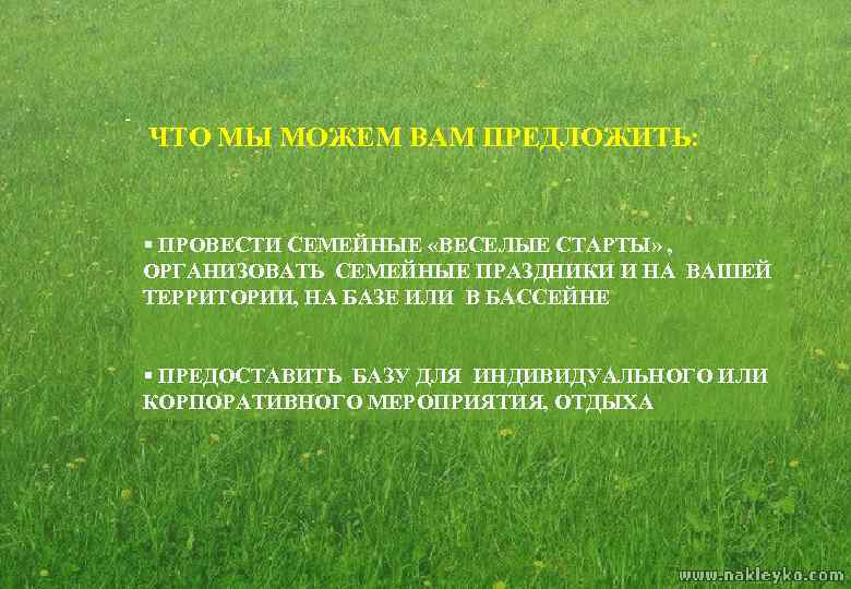 - ЧТО МЫ МОЖЕМ ВАМ ПРЕДЛОЖИТЬ: § ПРОВЕСТИ СЕМЕЙНЫЕ «ВЕСЕЛЫЕ СТАРТЫ» , ОРГАНИЗОВАТЬ СЕМЕЙНЫЕ