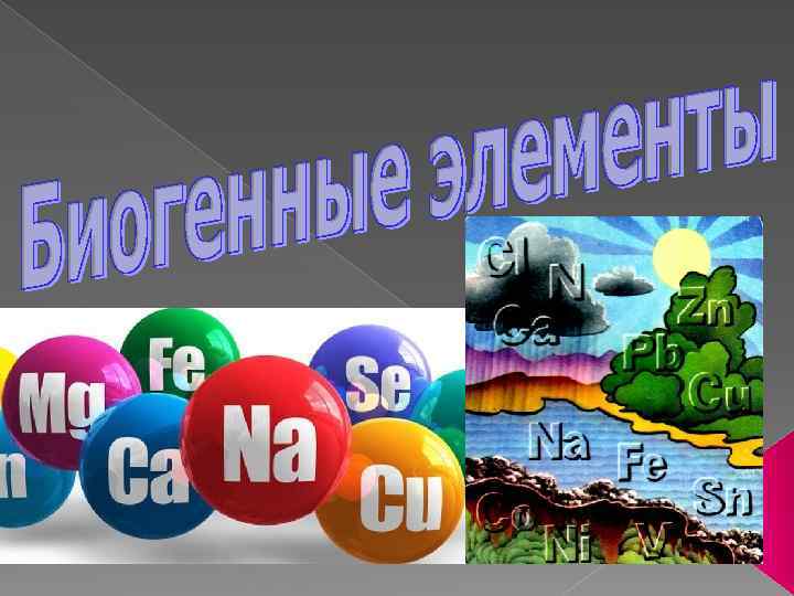 Биогенные элементы