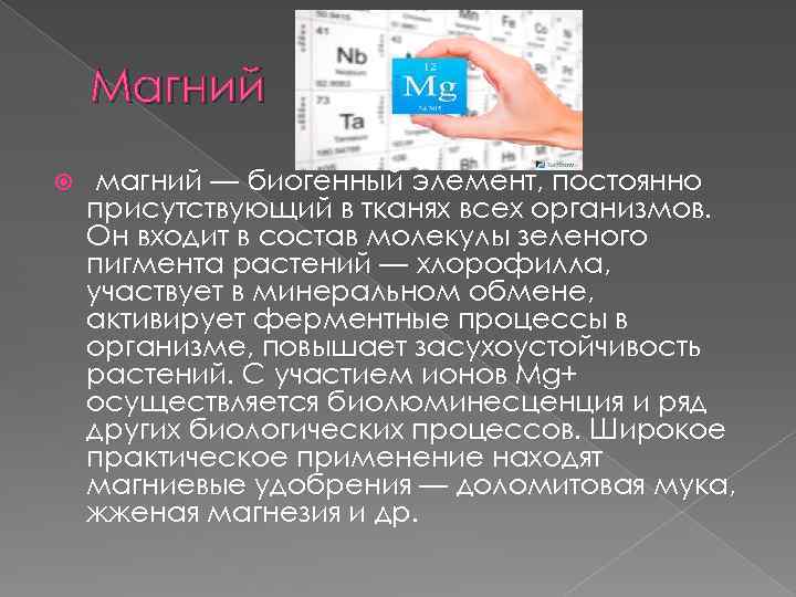 Магний магний — биогенный элемент, постоянно присутствующий в тканях всех организмов. Он входит в