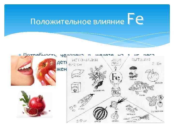 Fe Положительное влияние Потребность человека в железе на 1 кг веса следующая: дети —