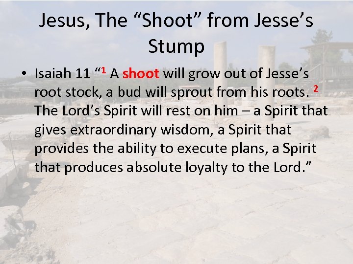 Jesus, The “Shoot” from Jesse’s Stump • Isaiah 11 “ 1 A shoot will