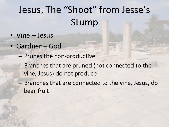 Jesus, The “Shoot” from Jesse’s Stump • Vine – Jesus • Gardner – God