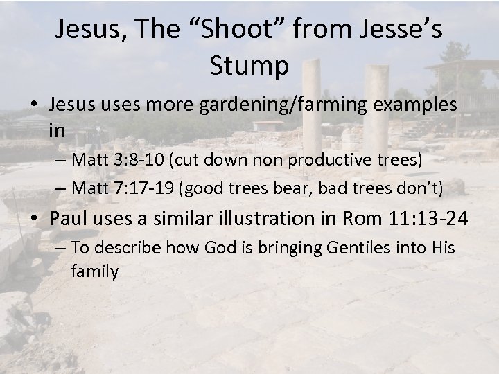 Jesus, The “Shoot” from Jesse’s Stump • Jesus uses more gardening/farming examples in –