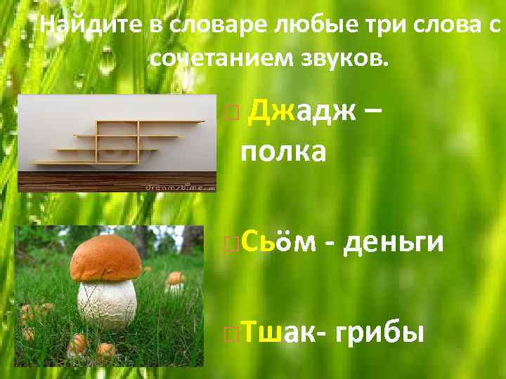 Найдите в словаре любые три слова с сочетанием звуков. Джадж – полка Сьöм -