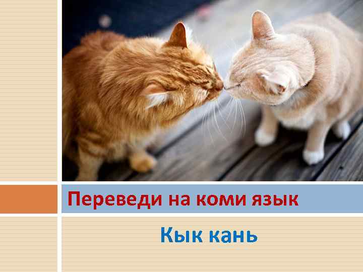 Переведи на коми язык Кык кань 