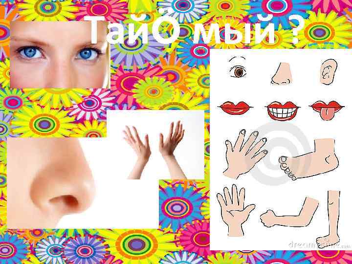 ТайÖ мый ? 