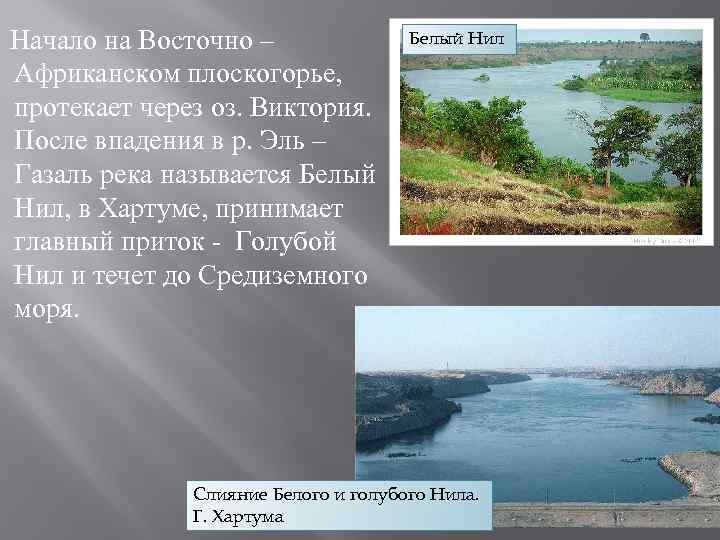 Как называется река протекающая через лондон. Нил, белый Нил, голубой Нил,. Воды Восточной Африки. Сообщение Восточное африканское плоскогорье. Голубой Нил впадает.