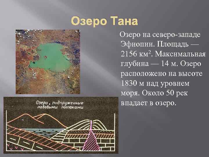 Озеро Тана Озеро на северо-западе Эфиопии. Площадь — 2156 км 2. Максимальная глубина —