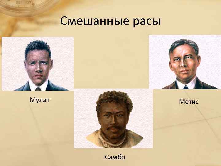 Мулаты описание. Метисы Мулаты самбо. Смешанные расы.