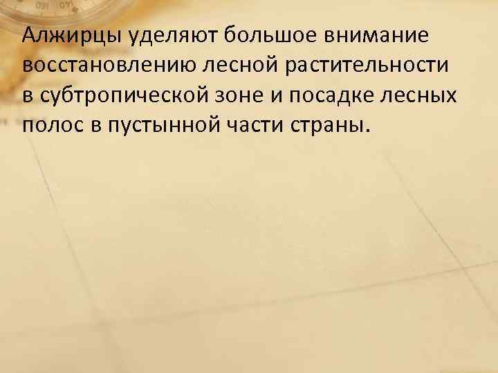 Алжирцы уделяют большое внимание восстановлению лесной растительности в субтропической зоне и посадке лесных полос