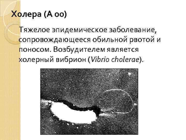 Желтая лихорадка презентация эпидемиология