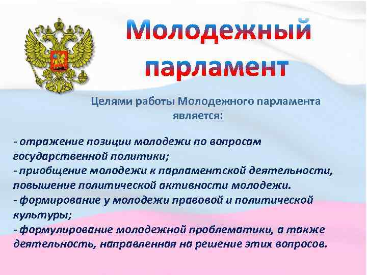  Целями работы Молодежного парламента является: - отражение позиции молодежи по вопросам государственной политики;