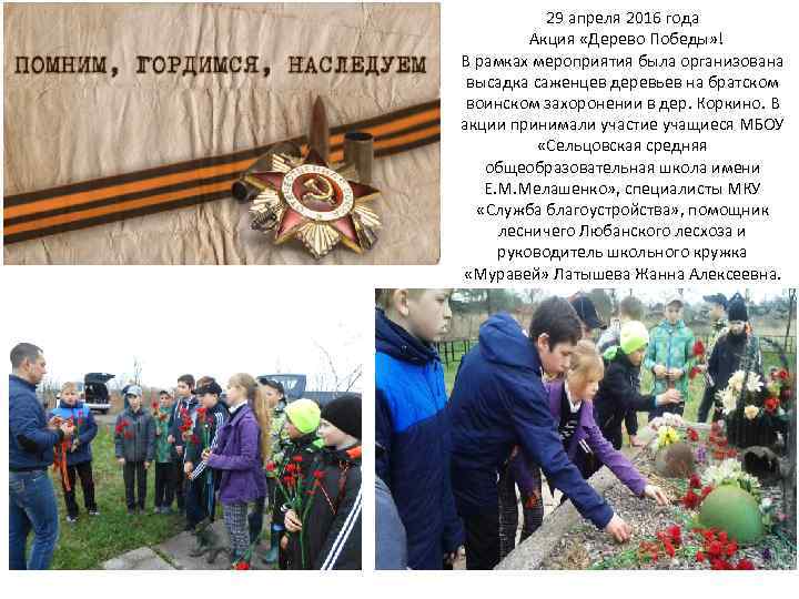 29 апреля 2016 года Акция «Дерево Победы» ! В рамках мероприятия была организована высадка