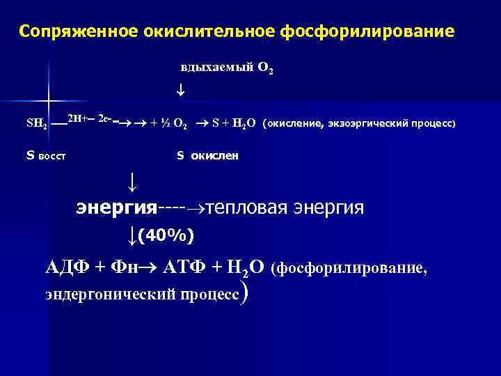 Сопряженное окислительное фосфорилирование вдыхаемый О 2 - SH 2 ----2 Н+-- 2 е- +
