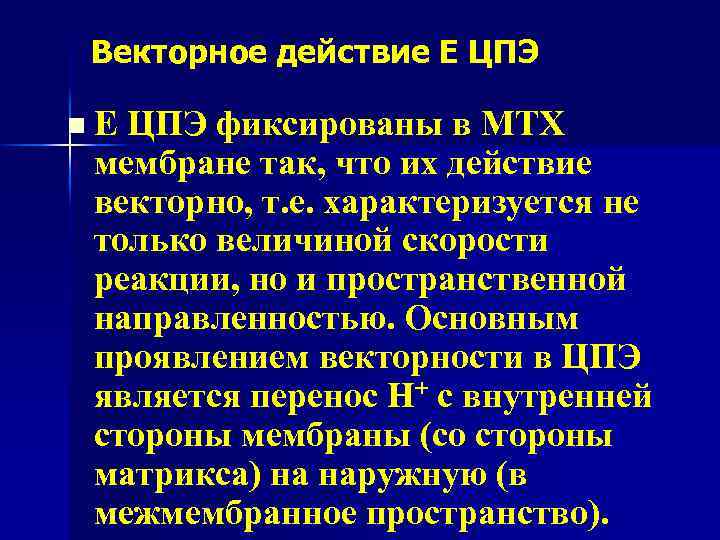 Векторное действие Е ЦПЭ n Е ЦПЭ фиксированы в МТХ мембране так, что их