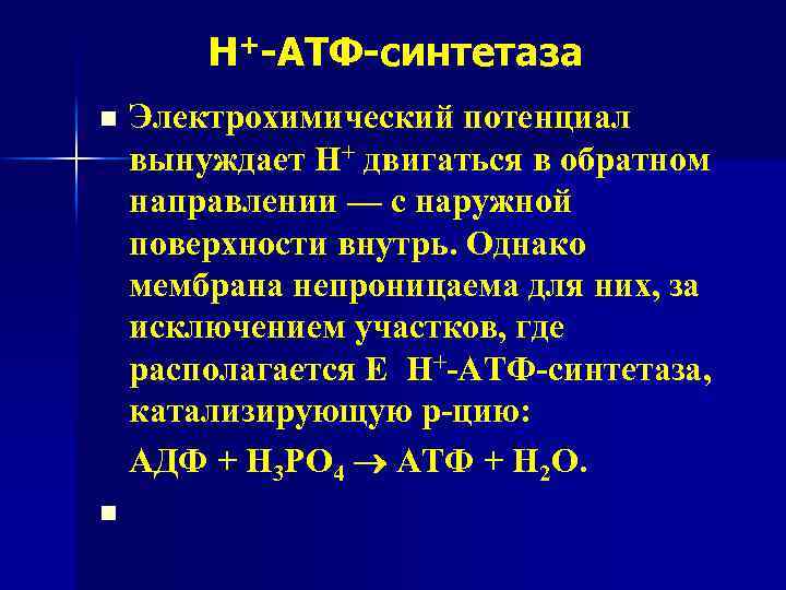 Н+-АТФ-синтетаза n n Электрохимический потенциал вынуждает Н+ двигаться в обратном направлении — с наружной