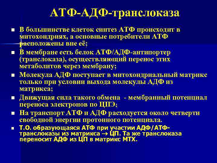АТФ-АДФ-транслоказа n n n В большинстве клеток синтез АТФ происходит в митохондриях, а основные