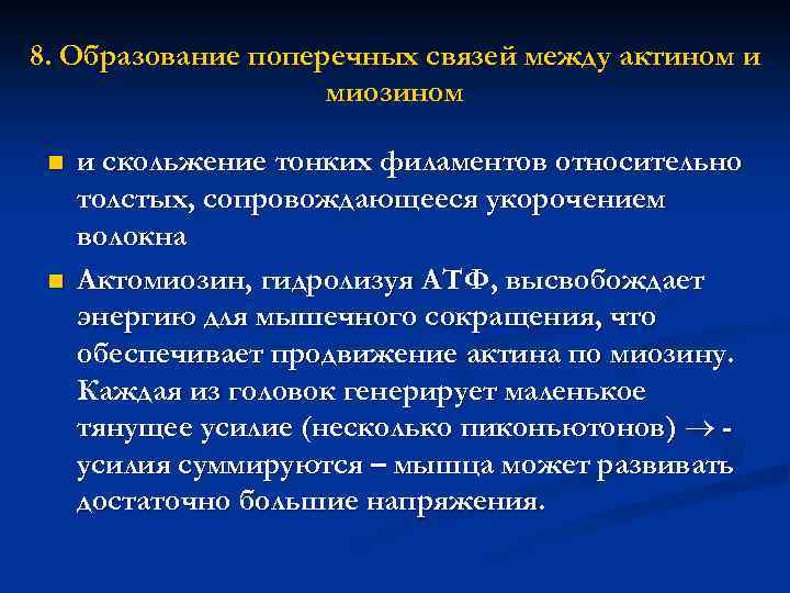 8. Образование поперечных связей между актином и миозином n n и скольжение тонких филаментов