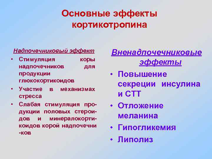 Основные эффекты кортикотропина Надпочечниковый эффект • Стимуляция коры надпочечников для продукции глюкокортикоидов • Участие