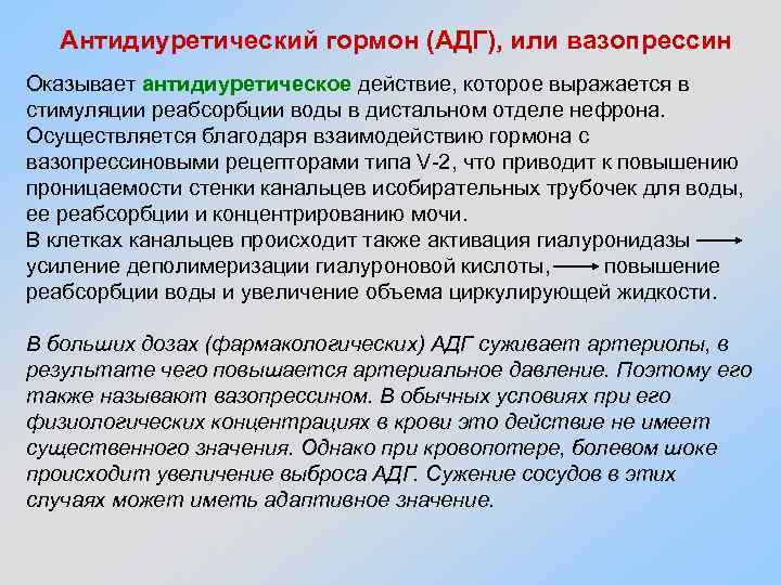 Антидиуретический гормон (АДГ), или вазопрессин Оказывает антидиуретическое действие, которое выражается в стимуляции реабсорбции воды