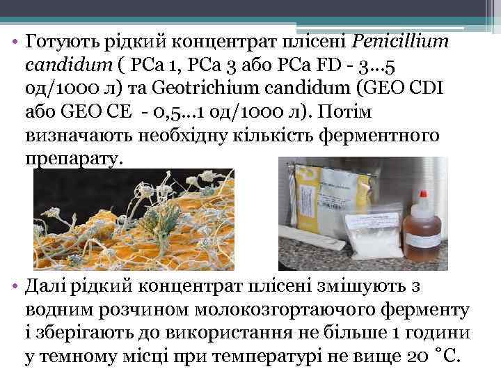  • Готують рідкий концентрат плісені Penicillium candidum ( PCa 1, PCa 3 або