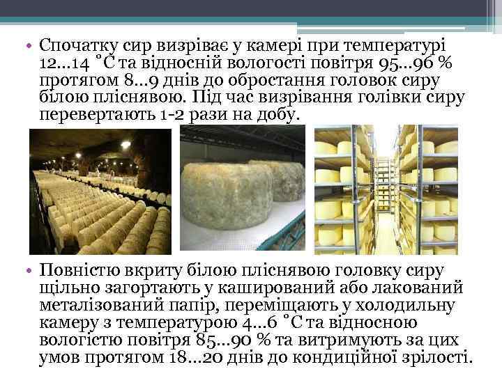  • Спочатку сир визріває у камері при температурі 12… 14 ˚С та відносній