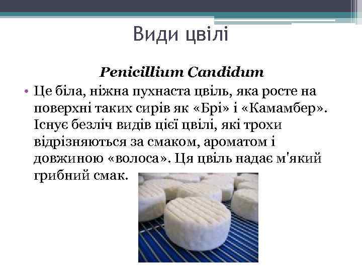 Види цвілі Penicillium Candidum • Це біла, ніжна пухнаста цвіль, яка росте на поверхні