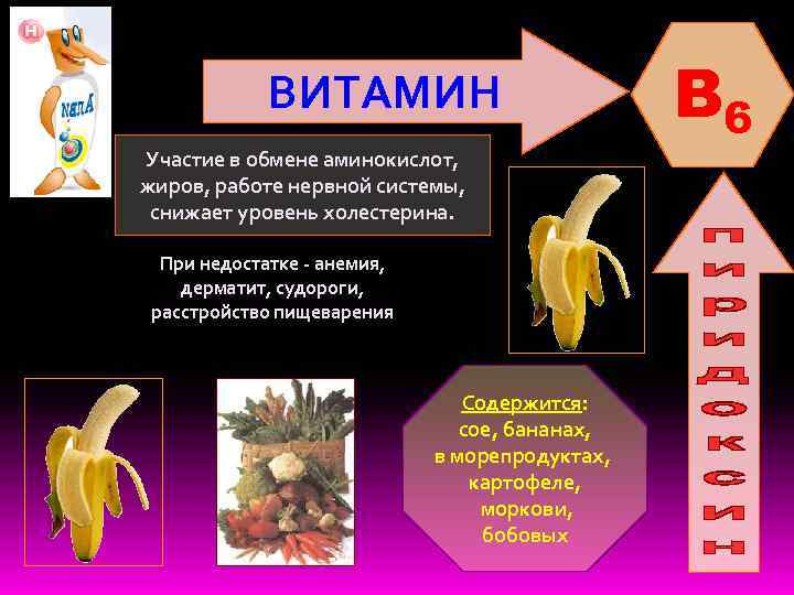 ВИТАМИН Участие в обмене аминокислот, жиров, работе нервной системы, снижает уровень холестерина. При недостатке