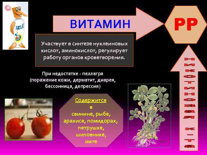 ВИТАМИН Участвует в синтезе нуклеиновых кислот, аминокислот, регулирует работу органов кроветворения. При недостатке -