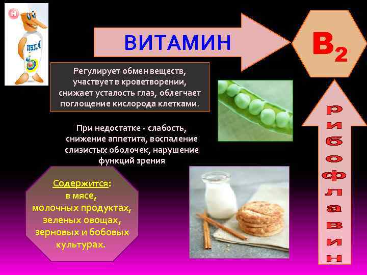 ВИТАМИН Регулирует обмен веществ, участвует в кроветворении, снижает усталость глаз, облегчает поглощение кислорода клетками.
