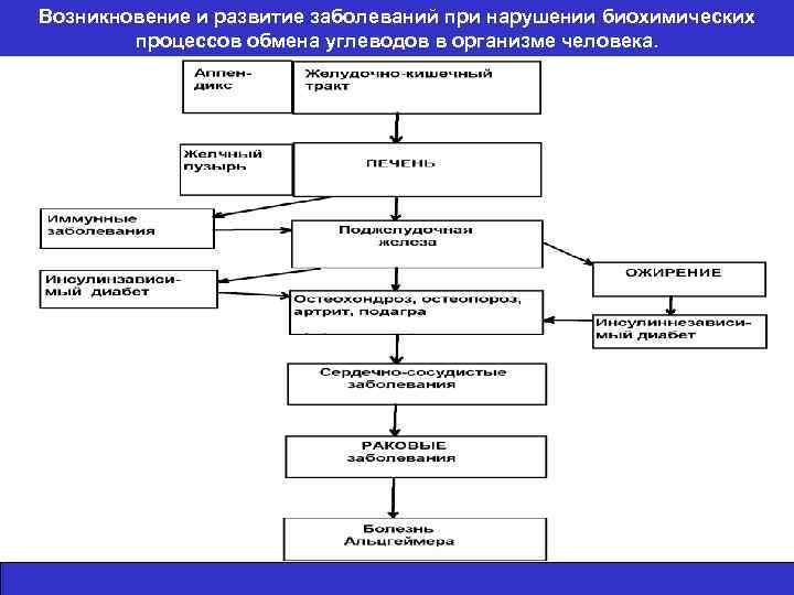 Возникновение и развитие заболеваний при нарушении биохимических процессов обмена углеводов в организме человека. 