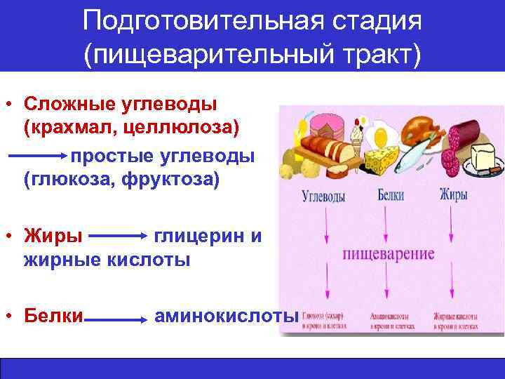 Конечные продукты подготовительного этапа