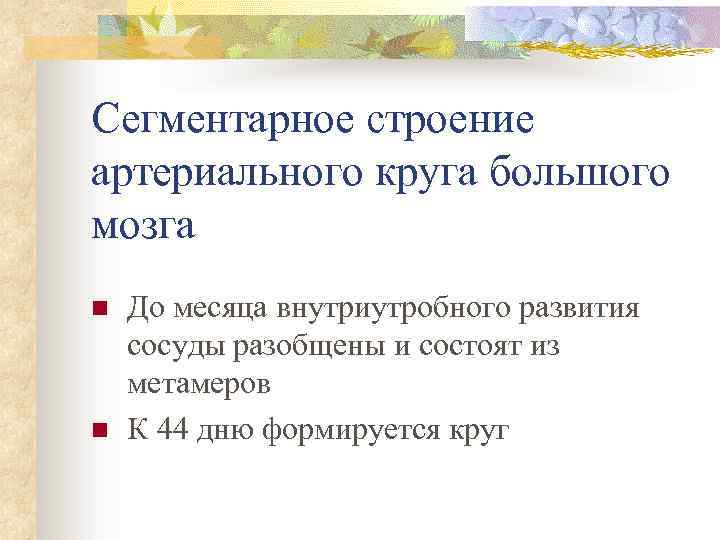 Сегментарное строение артериального круга большого мозга n n До месяца внутриутробного развития сосуды разобщены