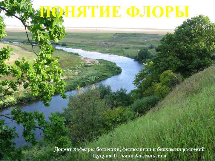 ПОНЯТИЕ ФЛОРЫ Доцент кафедры ботаники, физиологии и биохимии растений Цуцупа Татьяна Анатольевна 