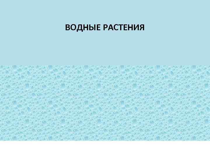 ВОДНЫЕ РАСТЕНИЯ 