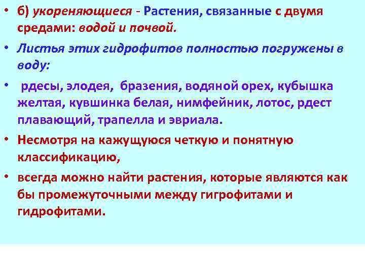  • б) укореняющиеся - Растения, связанные с двумя средами: водой и почвой. •