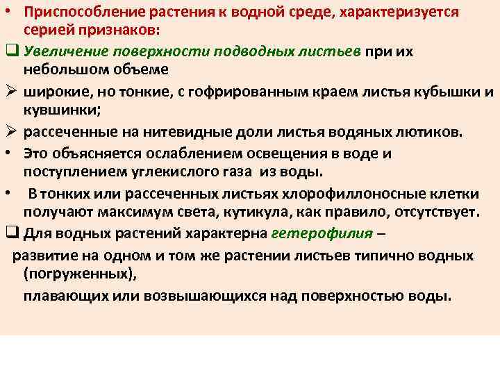  • Приспособление растения к водной среде, характеризуется серией признаков: q Увеличение поверхности подводных